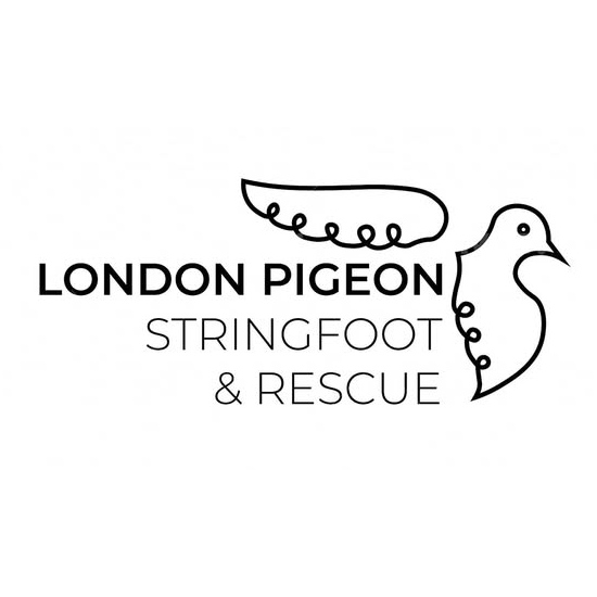 London Pigeon String foot & Rescue logo