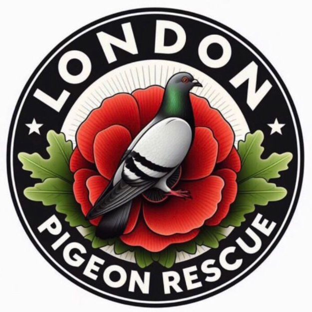 London Pigeon Rescue (We Rescue Stringfoot Birds) logo
