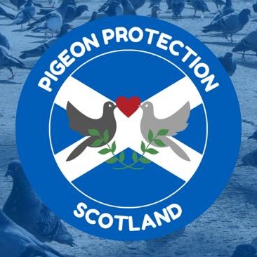 Scotland Pigeon Protection logo
