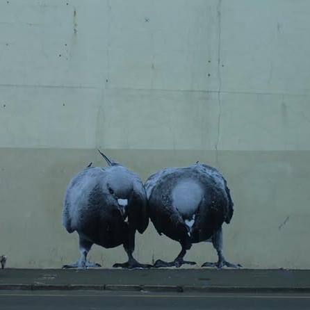 New Zealand Pigeons Stringfoot Help logo