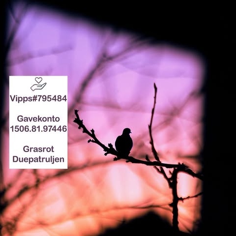 Duepatruljens hjelpegruppe for duer logo