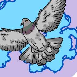 Six Counties Pigeon Support logo