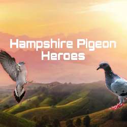 Hampshire Pigeon Heroes logo