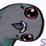 SOS pigeons sur Liège et la région logo