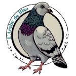L'Arche de Biso - Sauvetage des pigeons bisets (Bruxelles) logo