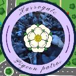 Harrogate Pigeon Patrol logo