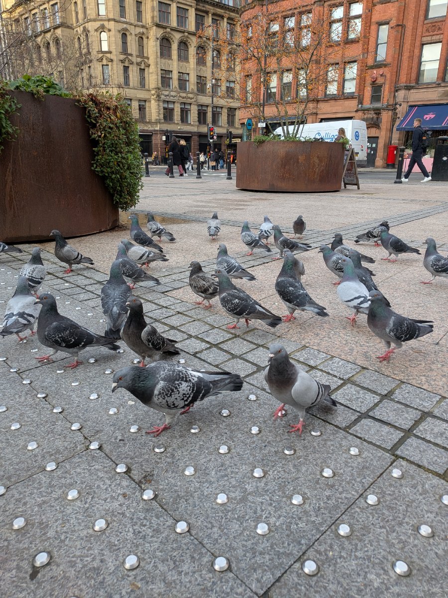 Great Northern Square