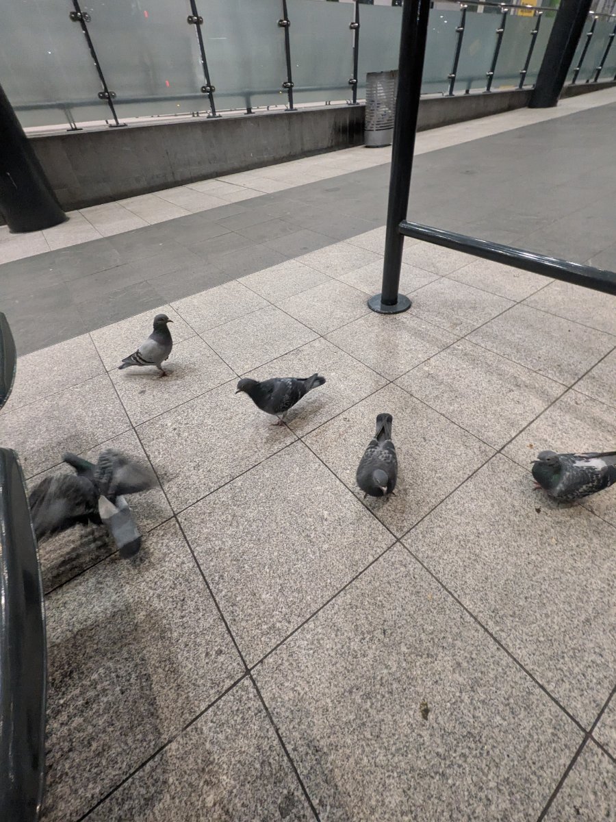 Shudehill Interchange