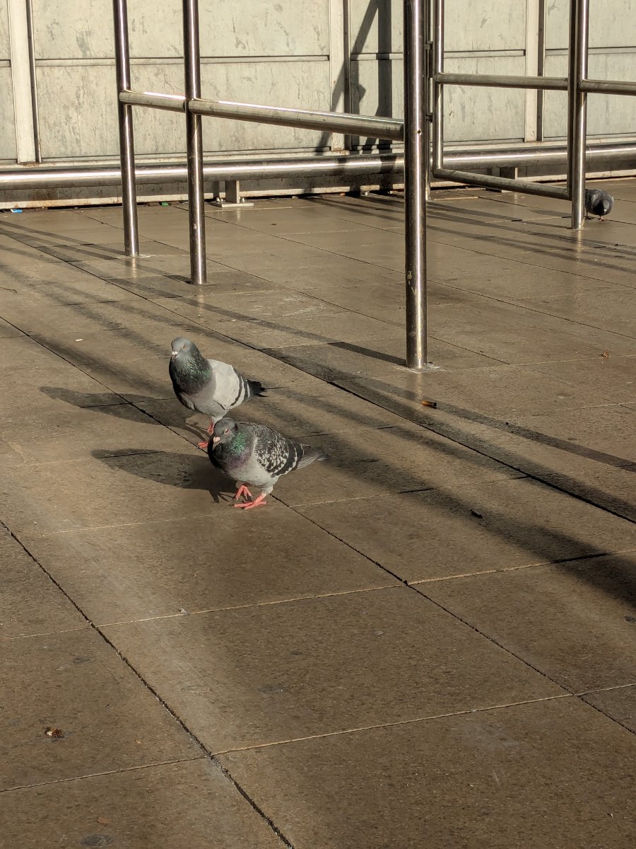Piccadilly Station Taxi Rank