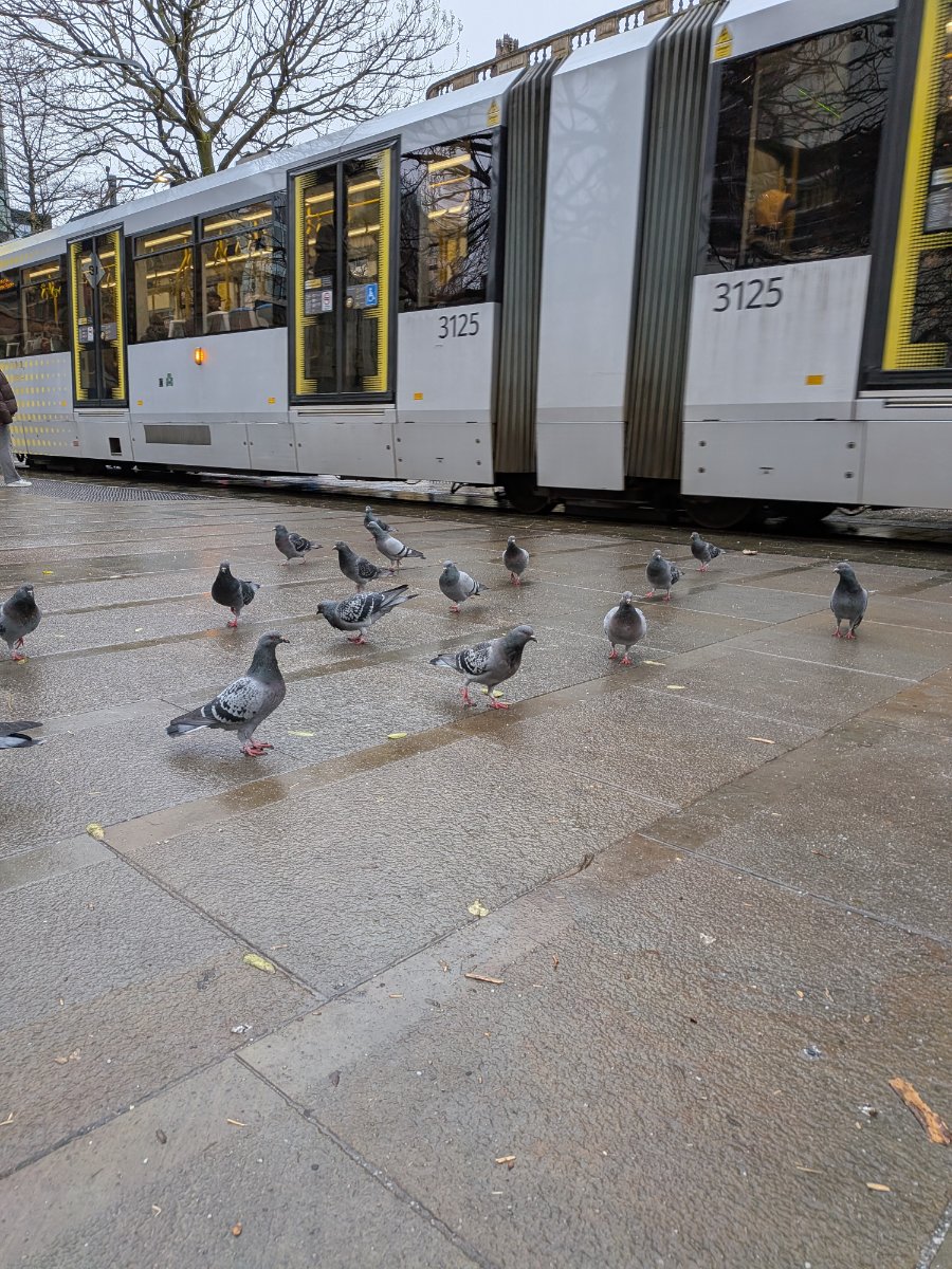 St Peter's Square Monument