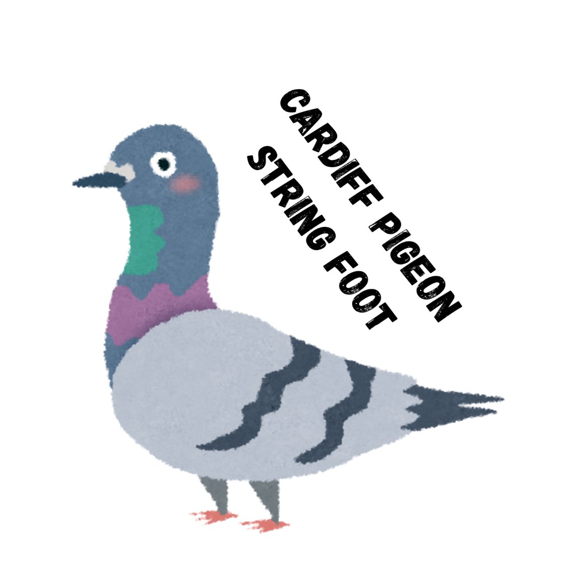 Cardiff Pigeon Stringfoot logo