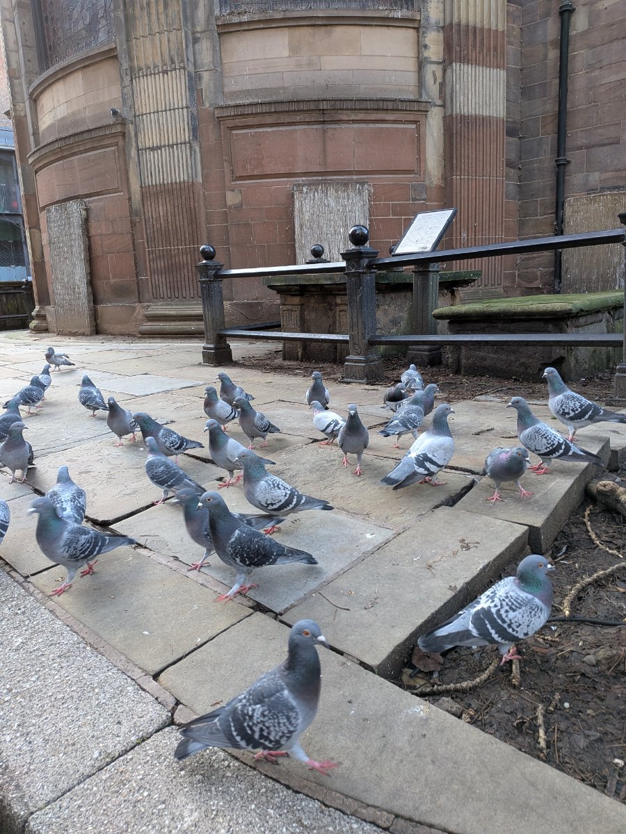 Central Retail District