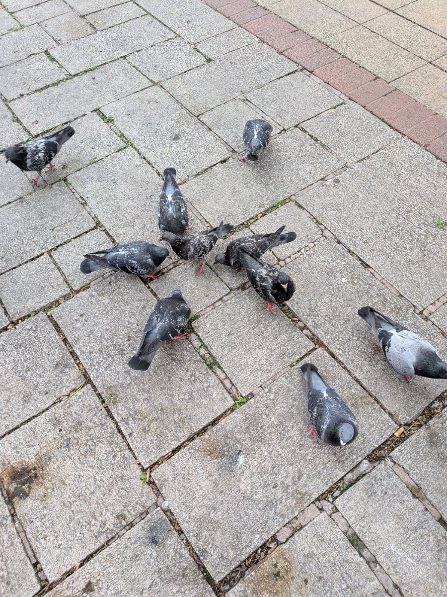 China town car park